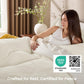 JOLLYVOGUE Twin/Twin XL Duvet Cover, 2-Piece, Soft Pre-Washed Microfiber