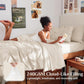 JOLLYVOGUE Twin Comforter Set 5 Pieces - Bed in a Bag Twin for All Season, Pintuck Bedding Comforter Sets with Comforter, Flat Sheet, Fitted Sheet and Pillowcases & Shams, Beige