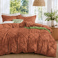 Boho Duvet Cover Set Queen Size, Tufted Embroidery Bedding, 3 PCS, Beige