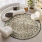 OPPODREAM Vintage Blue Area Rugs 5x7, Washable Rug for Living Room