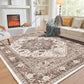 OPPODREAM Soft Area Rugs 5x7, Persian-Inspired Washable Rug, Blue & Gold