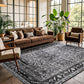 OPPODREAM Vintage Blue Area Rugs 5x7, Washable Rug for Living Room